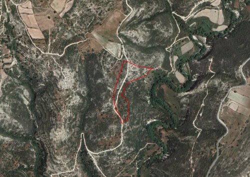 Field in Dora, Limassol - Image 1