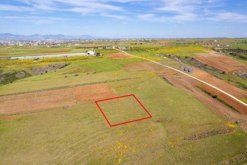 Agricultural field in Palaiometocho, Nicosia - Image 1