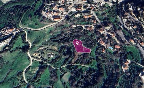 Three Residential Fields, Armou, Paphos - Image 1