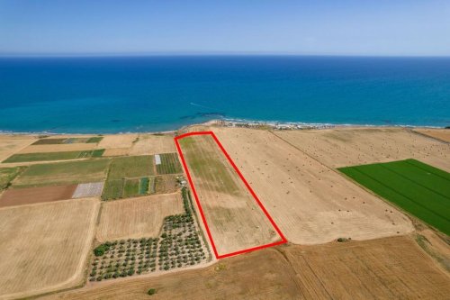 Touristic field in Softades, Larnaca - Image 1