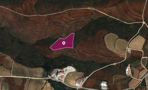 Agricultural Field, Kathikas, Paphos - Image 1