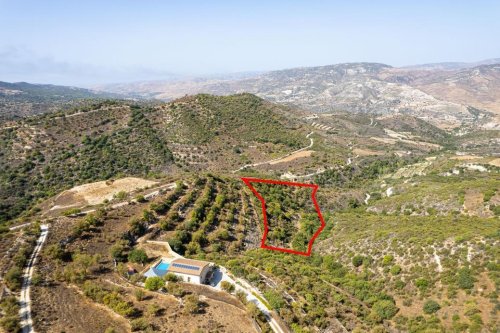 Field in Dora, Limassol - Image 1