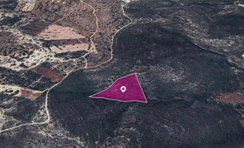 Special Protection Zoned Field in Kato Kivides, Limassol - Image 1