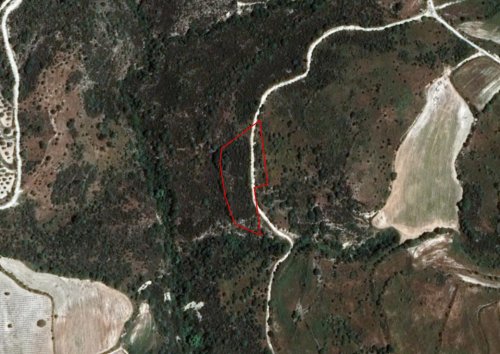 Field in Dora, Limassol - Image 1