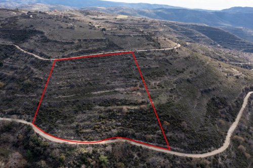 Field in Arsos, Limassol - Image 1