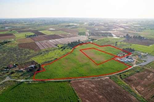 Shared agricultural fields in Frenaros, Famagusta - Image 1