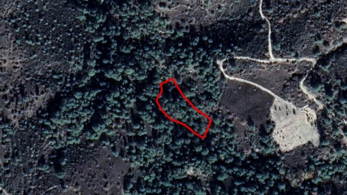 Field in Dora, Limassol - Image 1