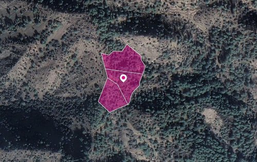 Shares Fields, Kaminaria, Limassol - Image 1