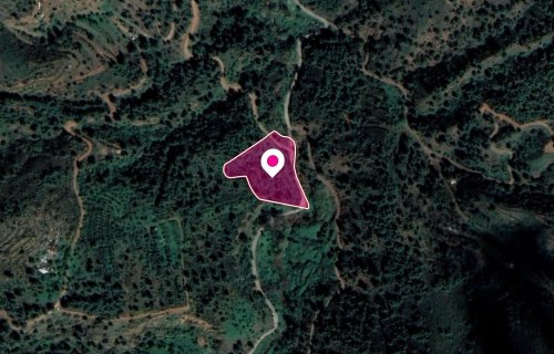 Agricultural Field, Kampos - Image 1