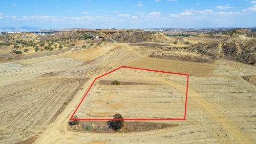 Shared agricultural field in Tseri, Nicosia - Image 1