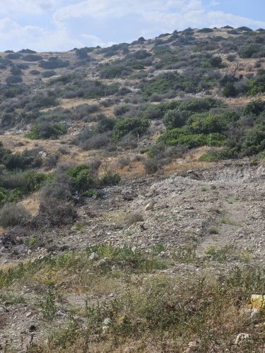 Plot of land 2064 m² for sale in Pyrgos, Limassol, 4529