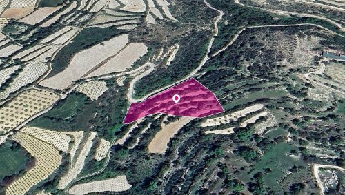 Agricultural Field, Koili, Paphos - Image 1