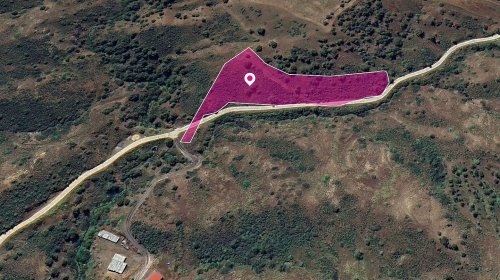 (Share) Agricultural Field in Pano Pyrgos, Nicosia - Image 1