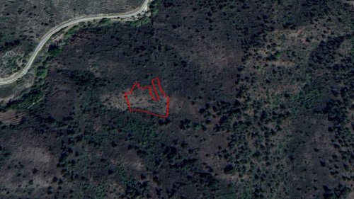 Agricultural field in Platanistasa, Nicosia - Image 1