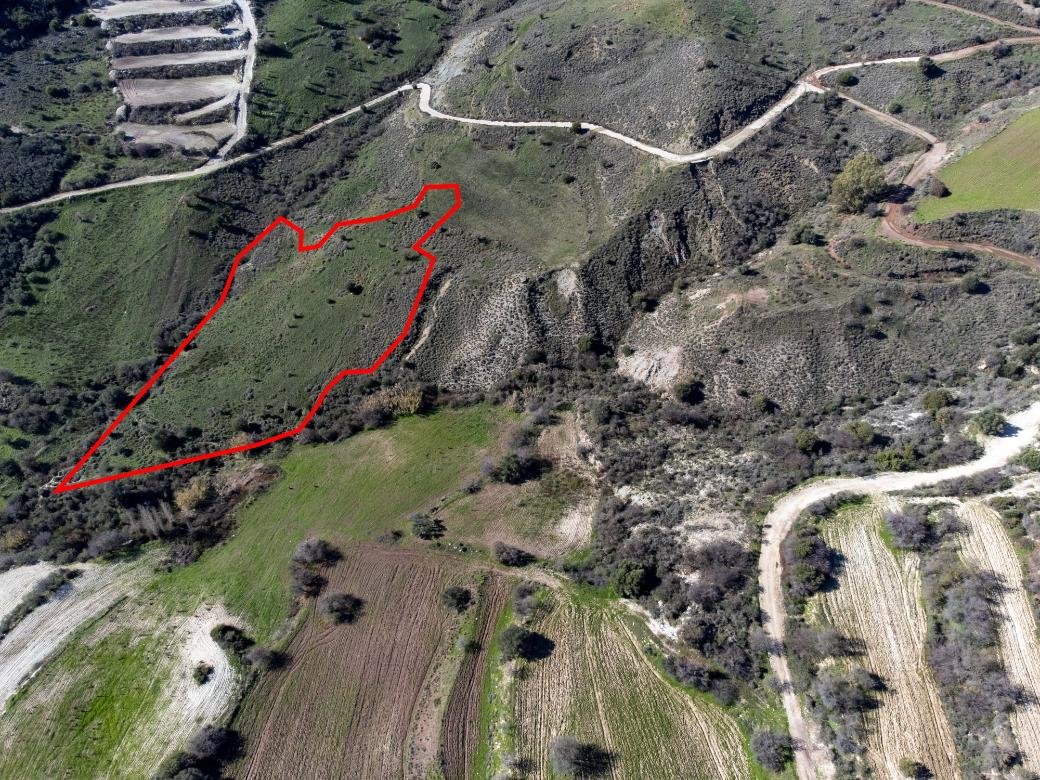 Field in Trachypedoula, Paphos photo 3