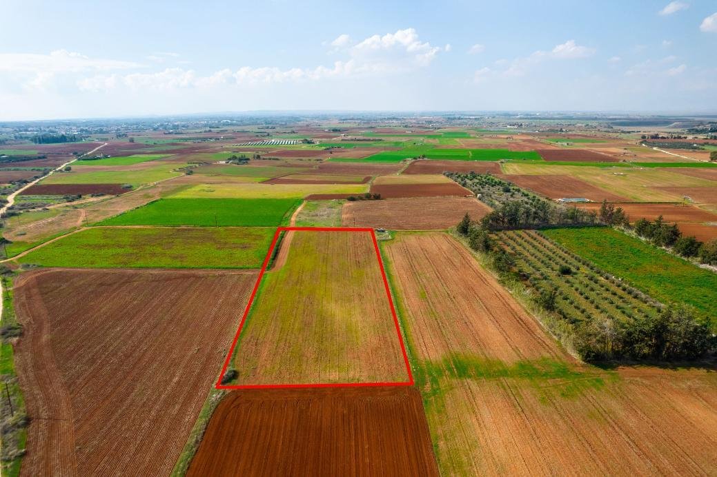 Agricultural field in Frenaros, Famagusta photo 2