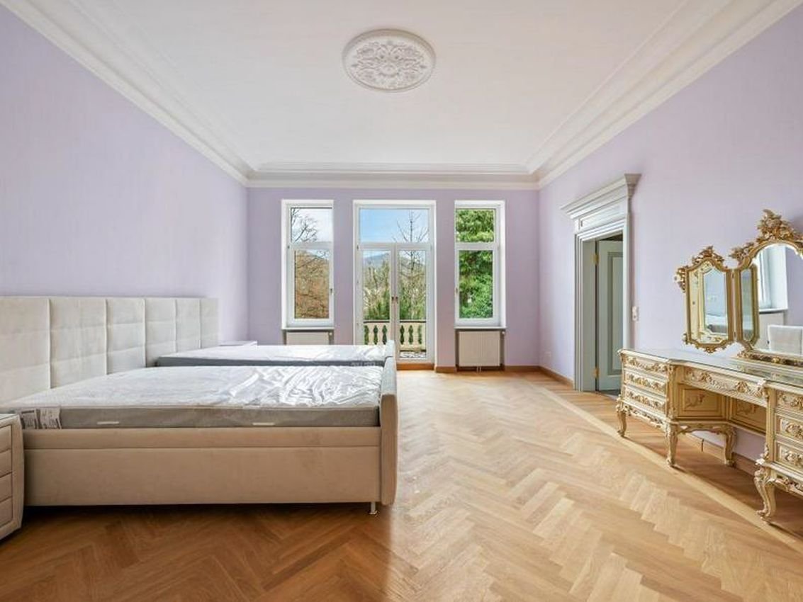 4 BR Unique Villa in Baden-Baden, Germany photo 8