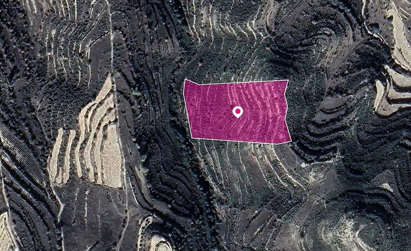 Agricultural Field, Pachna, Limassol photo 2