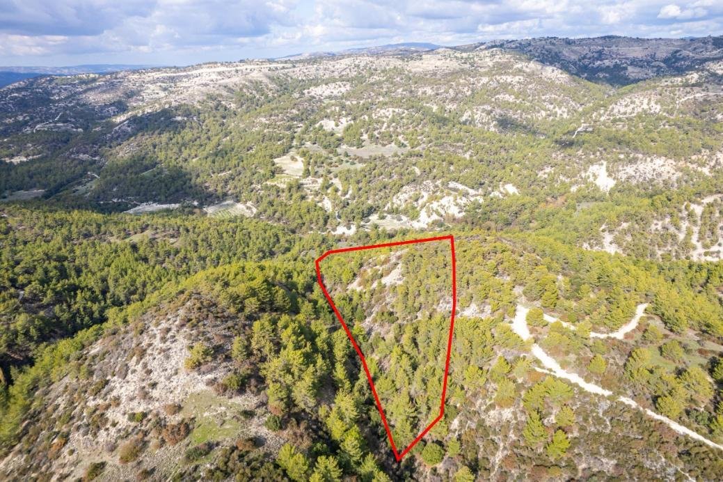 Shared field in Anogyra, Limassol photo 2