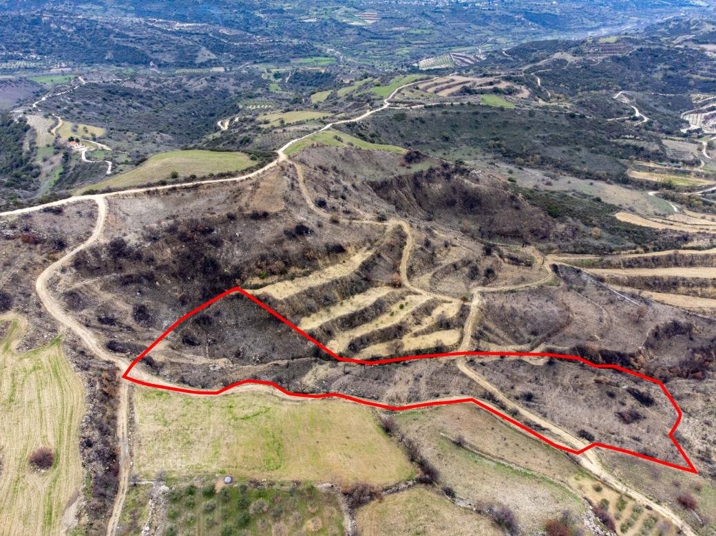 Shared fields in Agios Dimitrianos, Paphos photo 6