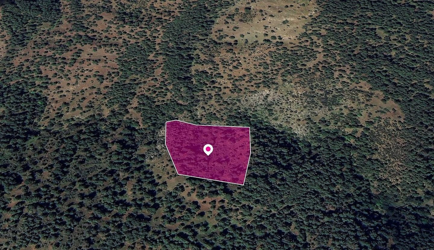 Agricultural Field in Pigenia, Nicosia photo 3