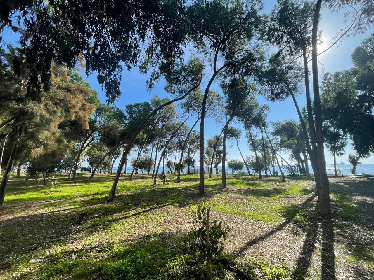 3 BR Apartment in Germasogeia, Limassol photo 11