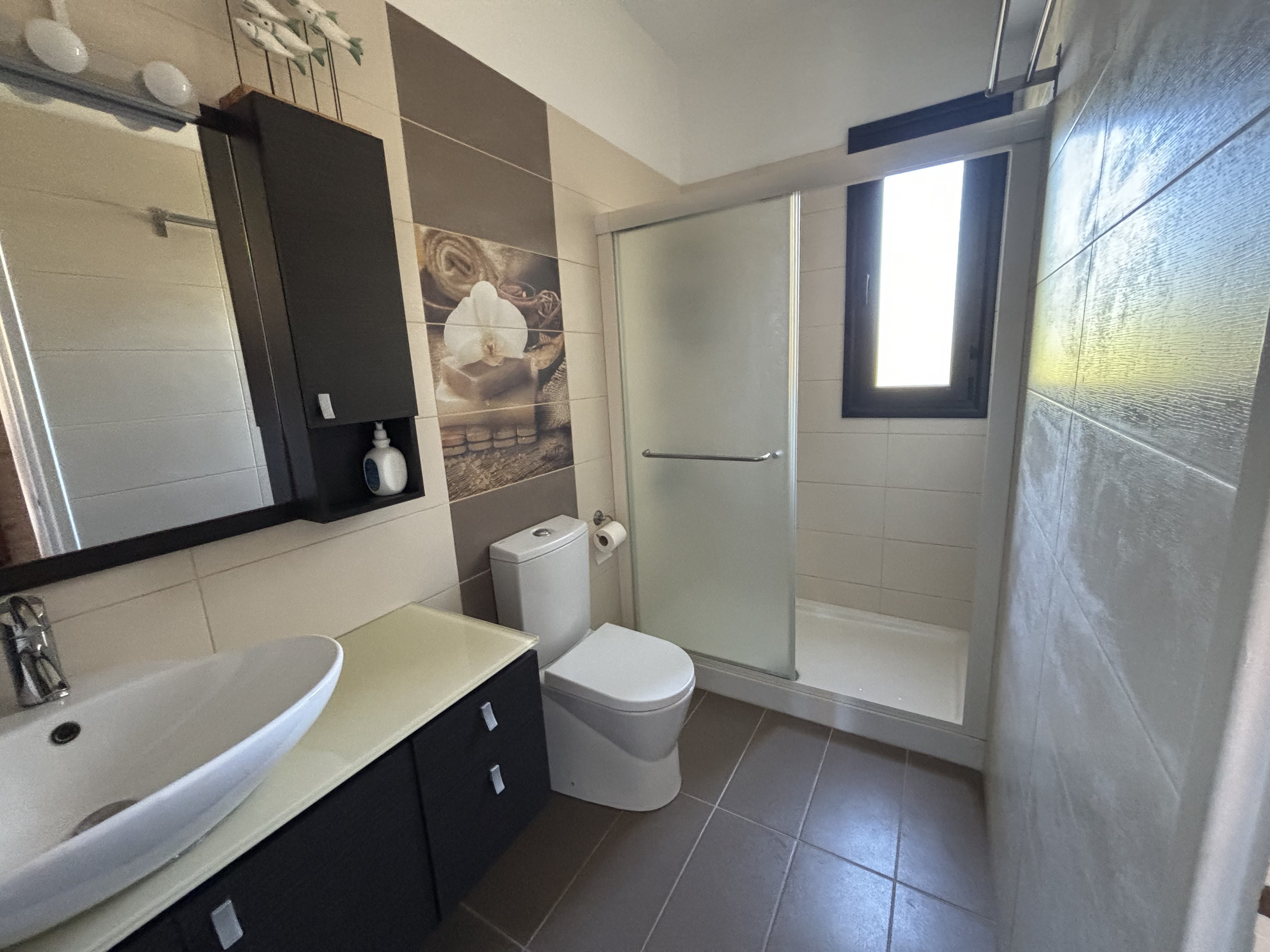 4 BR Villa in Kouklia, Paphos photo 17