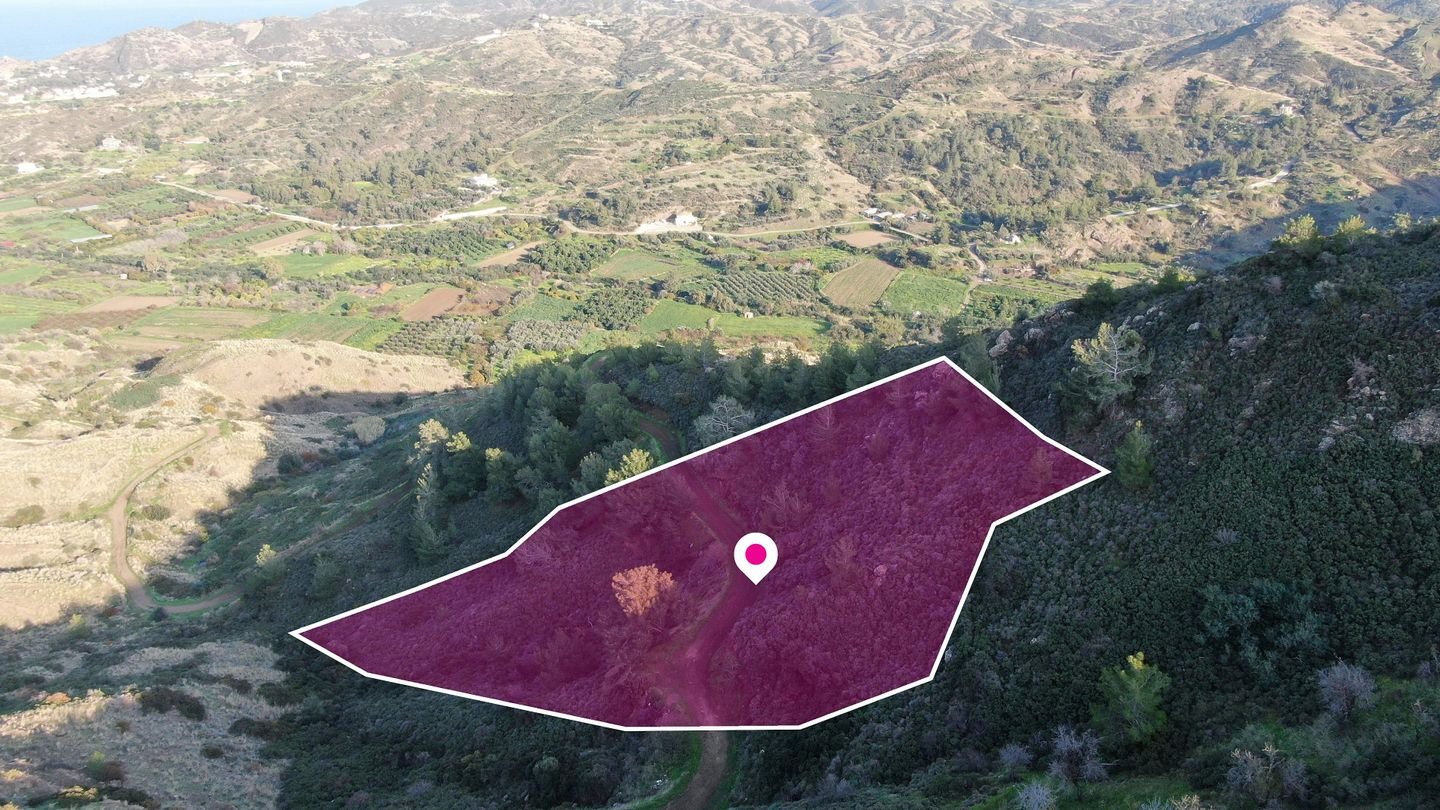 Residential field located in Pigenia, Nicosia photo 2