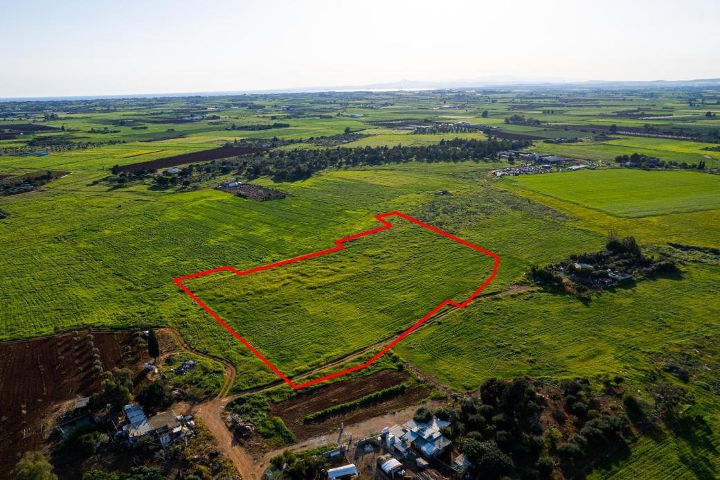 Shared agricultural field in Avgorou, Famagusta photo 5
