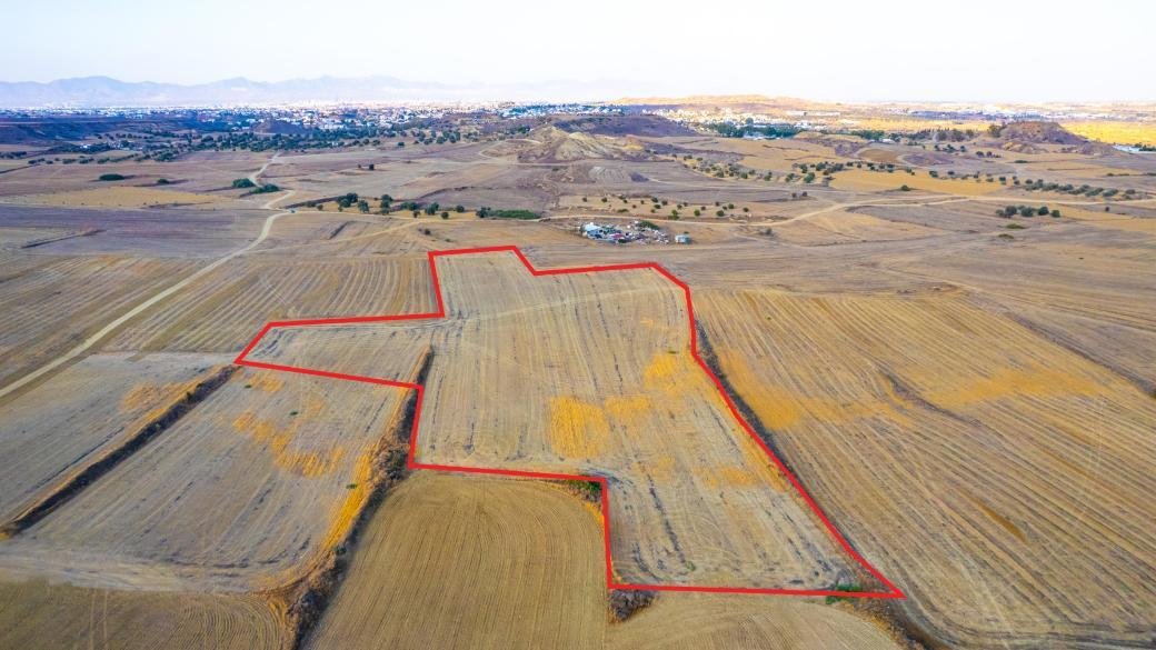 Shared agricultural field in Tseri, Nicosia photo 2