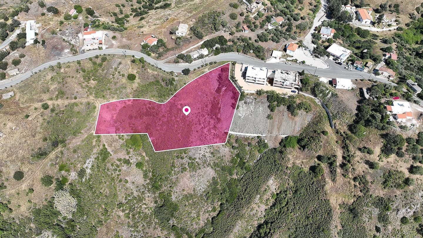 Field in Pigenia, Nicosia photo 3