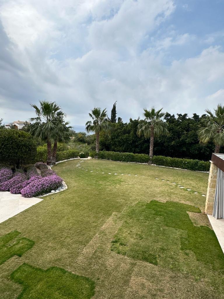5 BR Villa in Kouklia, Paphos photo 17