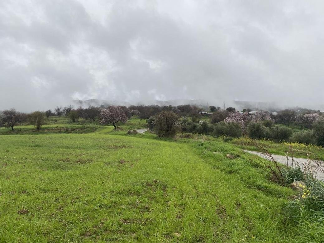 Shared residential field in Kelokedara, Paphos photo 5