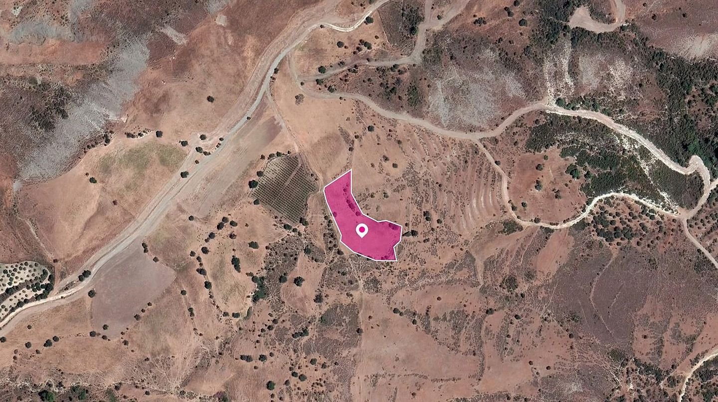 Field in Pano Panagia, Paphos photo 1