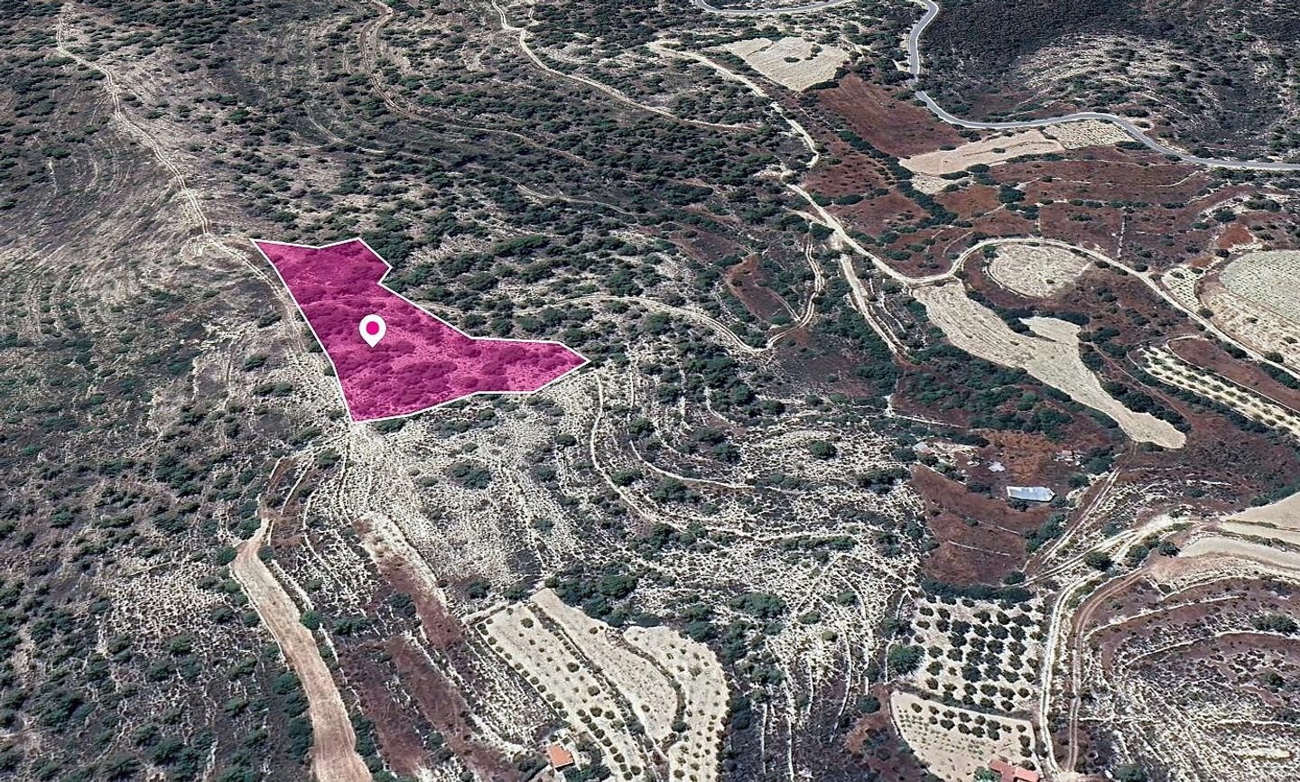 (Share) Field in Agios Therapon Community, Limassol photo 3