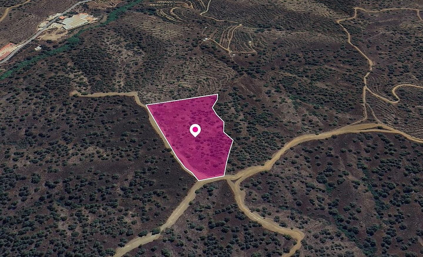 (Share) Agricultural field in Agios Theodoros Soleas, Nicosia photo 3