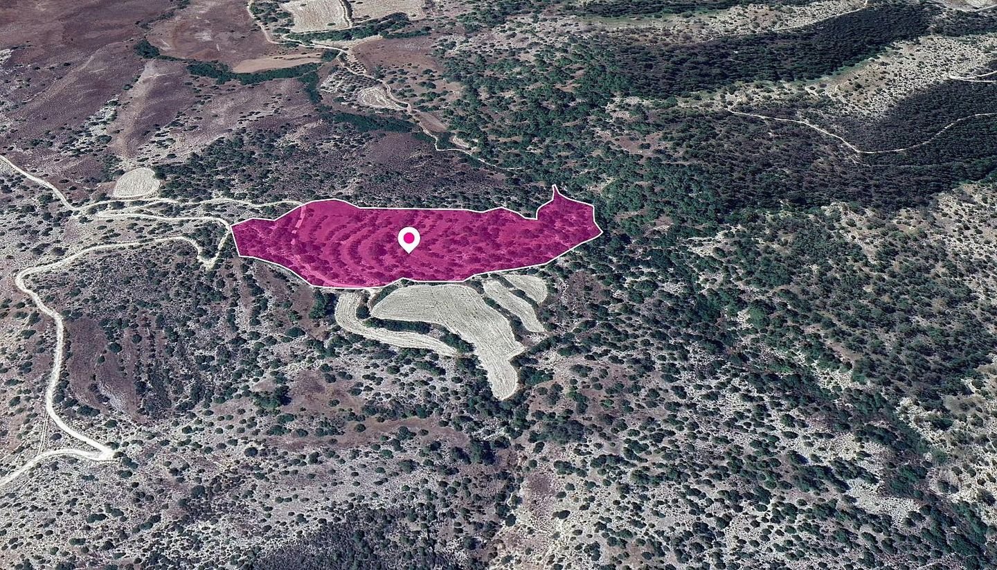 Field, Amargeti, Paphos photo 2