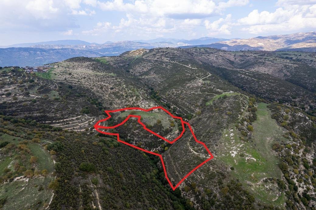 Fields in Dora, Limassol photo 3