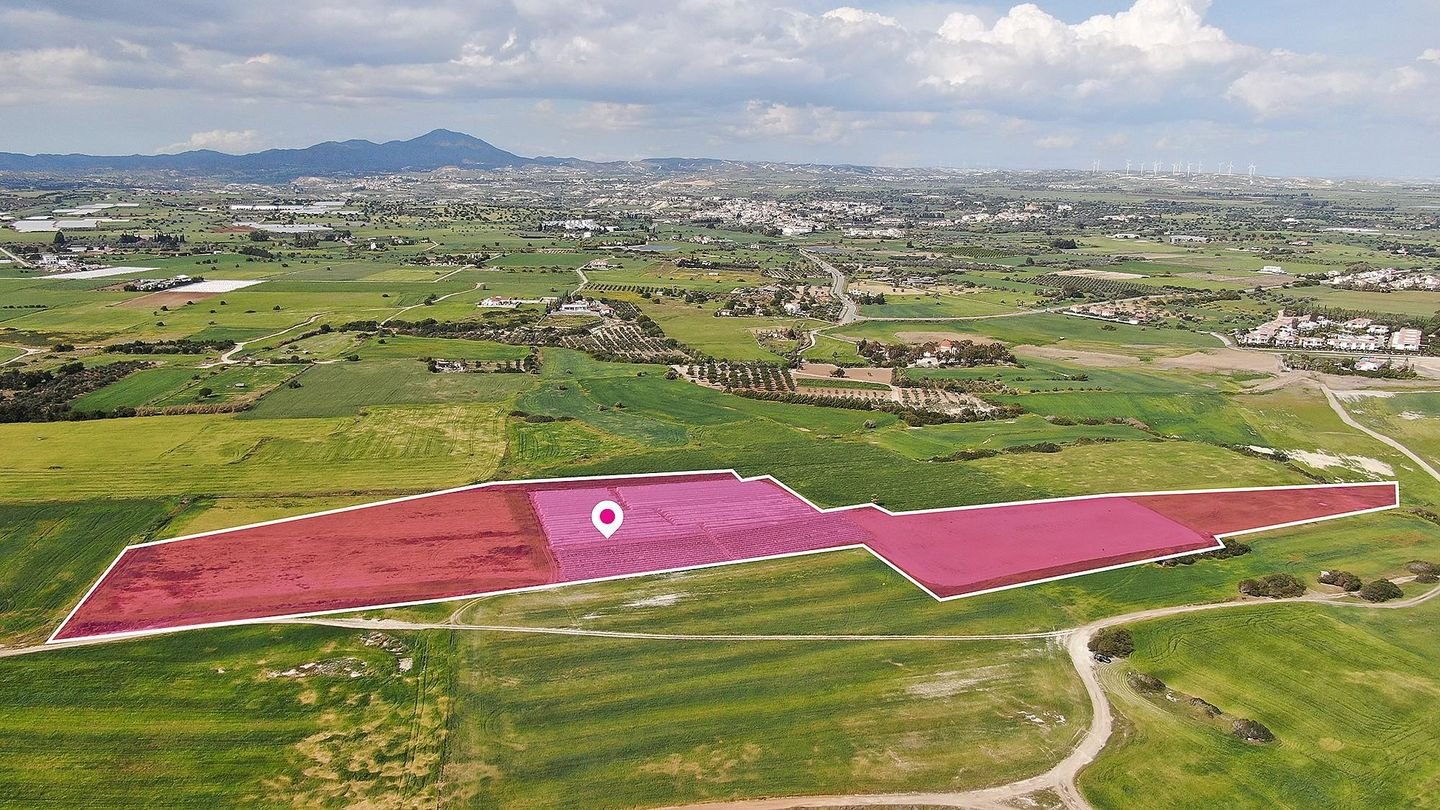 Seaview Field in Mazotos, Larnaca photo 4