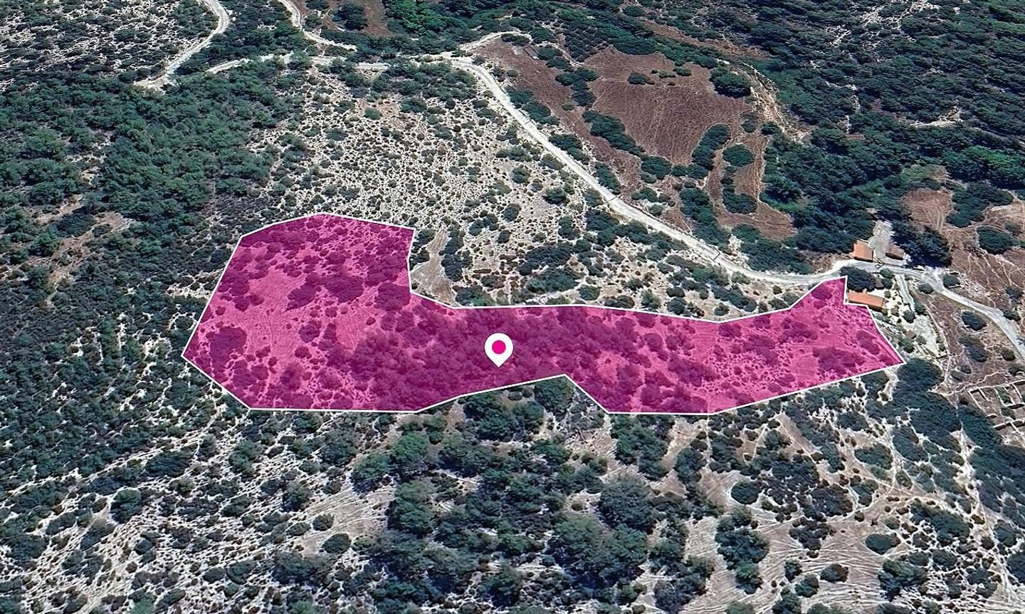 Special Protection Zoned Field in Pano Archimandrita, Paphos. photo 3