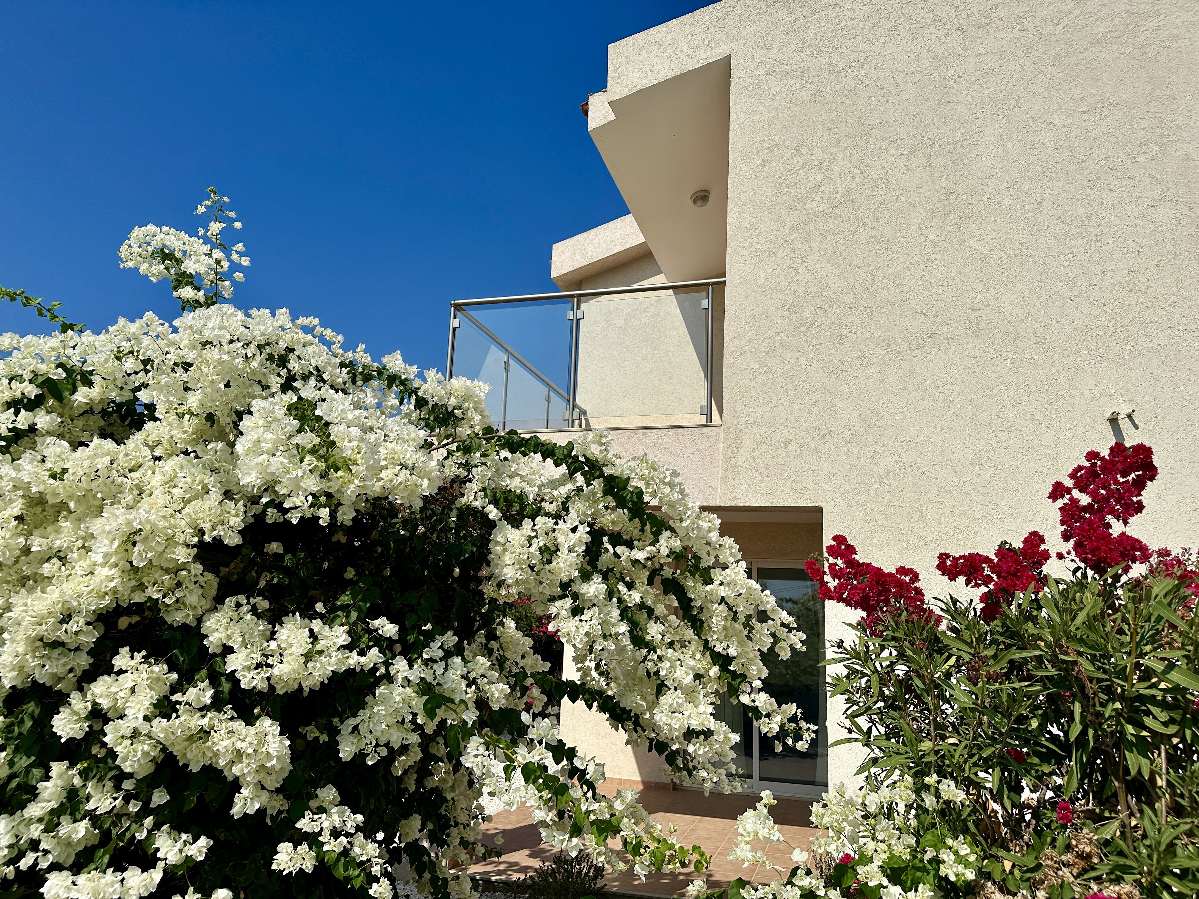 3 BR Villa in Pegeia, Paphos photo 4