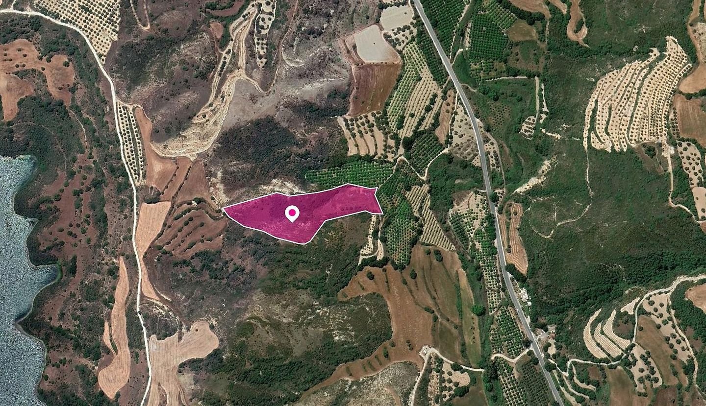 Shared Agricultural Field, Kato Akourdaleia, Paphos photo 1