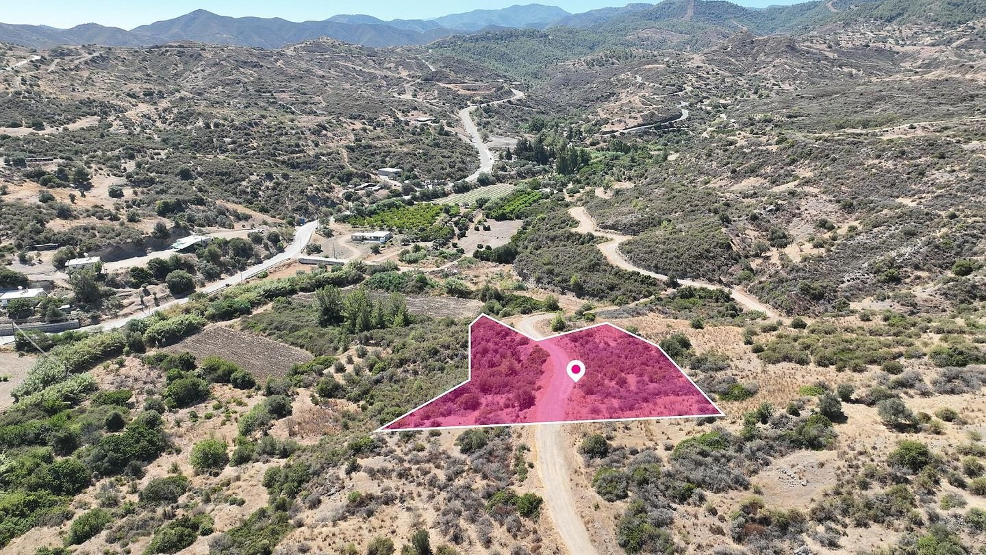 Field in Kato Pyrgos, Nicosia photo 1