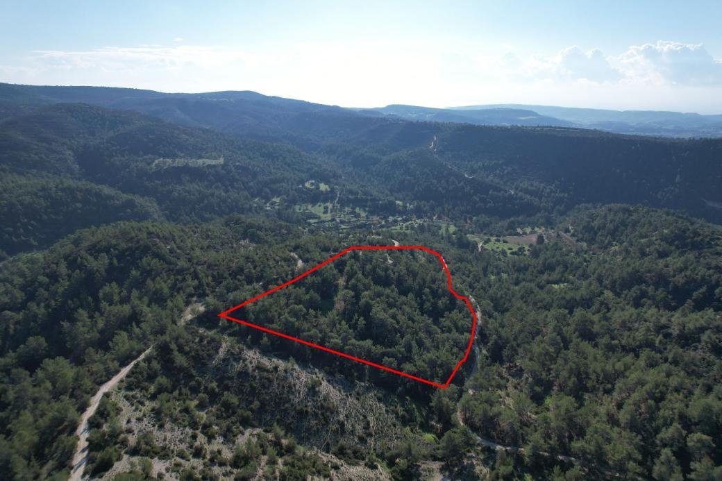 Shared field in Pano Archimandrita, Paphos photo 3