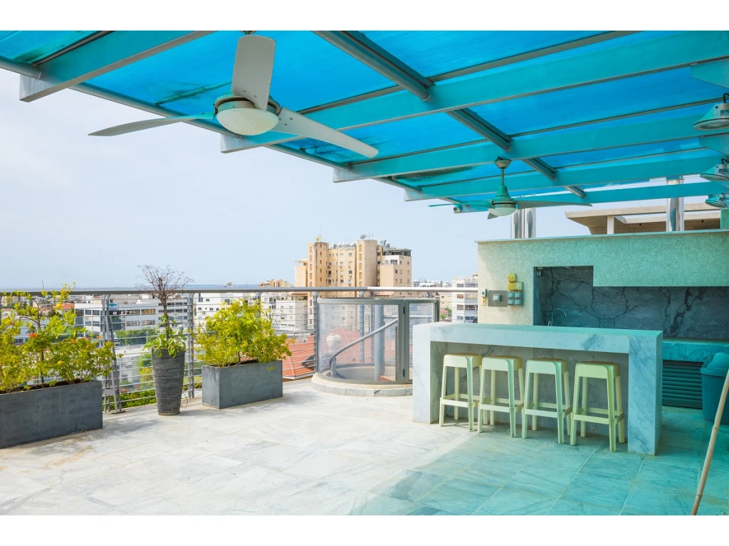 4 BR Penthouse in Neapolis, Limassol photo 17