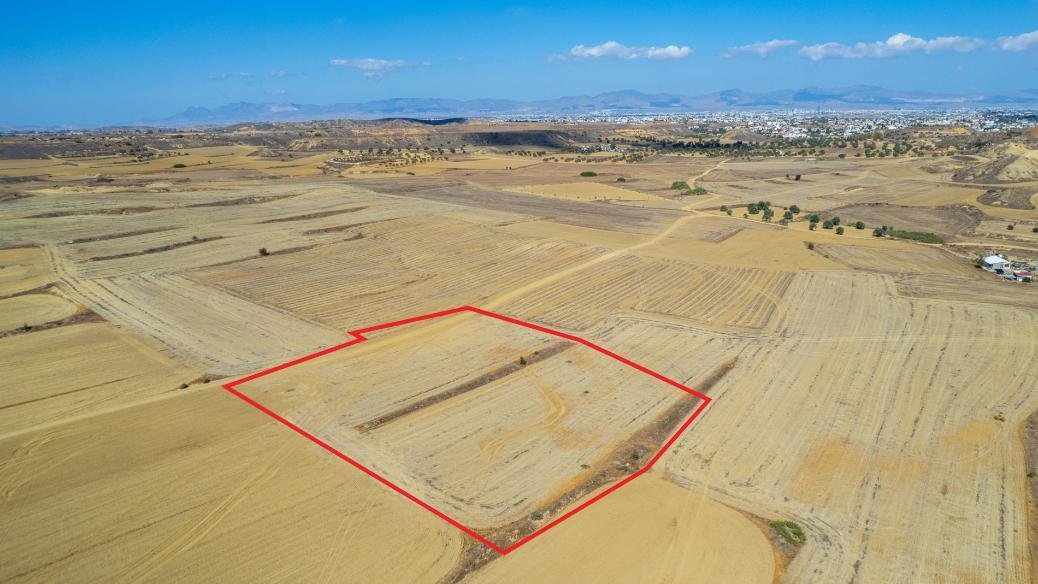 Shared agricultural field in Pera, Nicosia photo 2