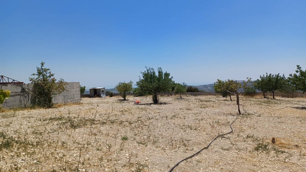 3 BR House in Agios Therapon, Limassol photo 9