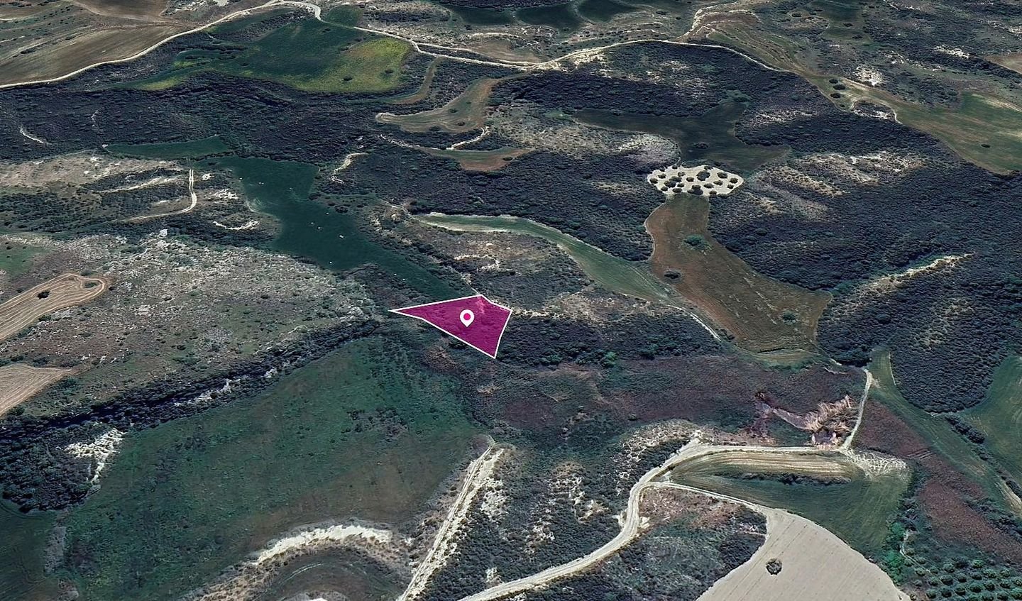 Agricultural Field, Steni, Paphos photo 3