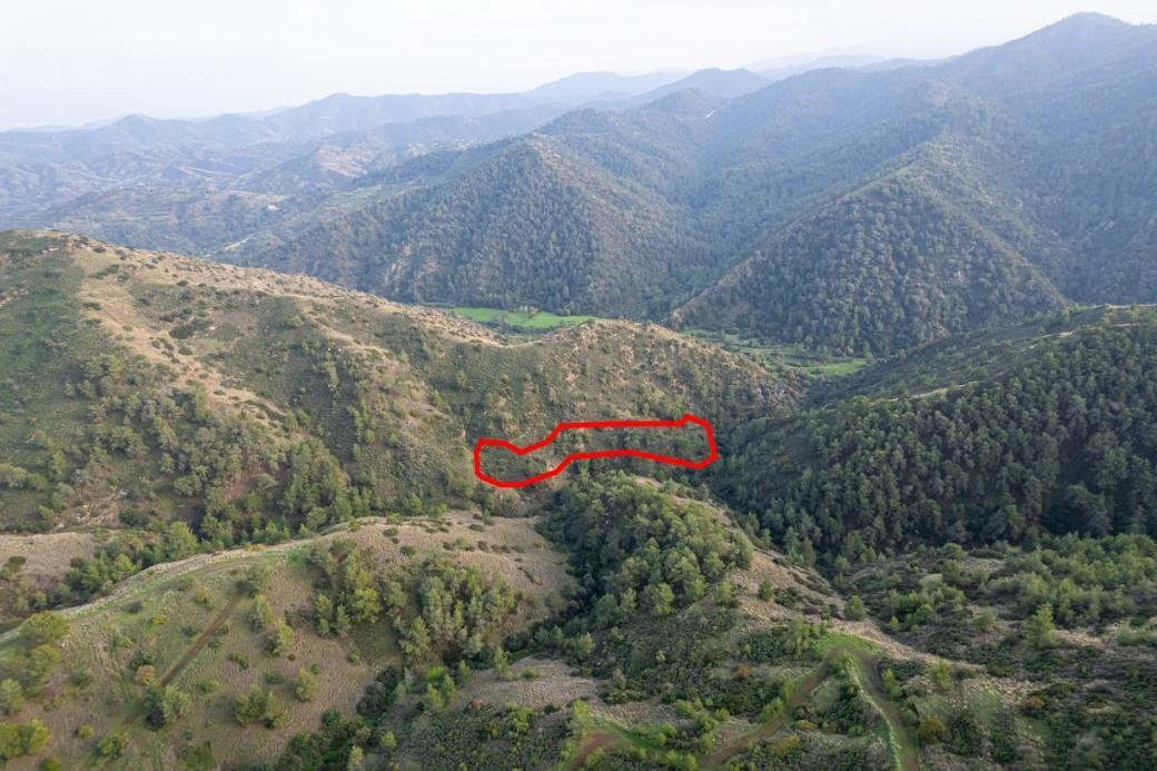 Shared agricultural field in Pigenia, Nicosia photo 2