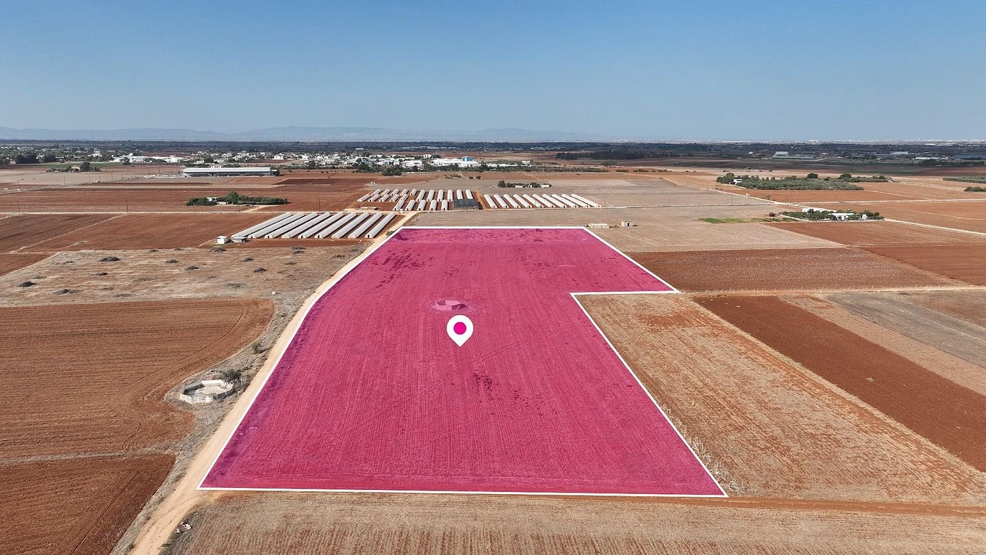 Share of an Agricultural field in Ormideia, Larnaca photo 4